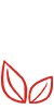 實力研發